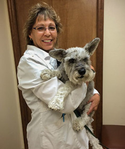 Veterinarian - Dr. Rodriguez - Animal Health Veterinary Clinic