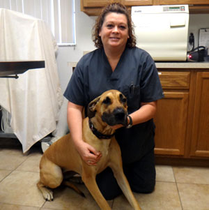 Previous Veterinary Staff - Leslie