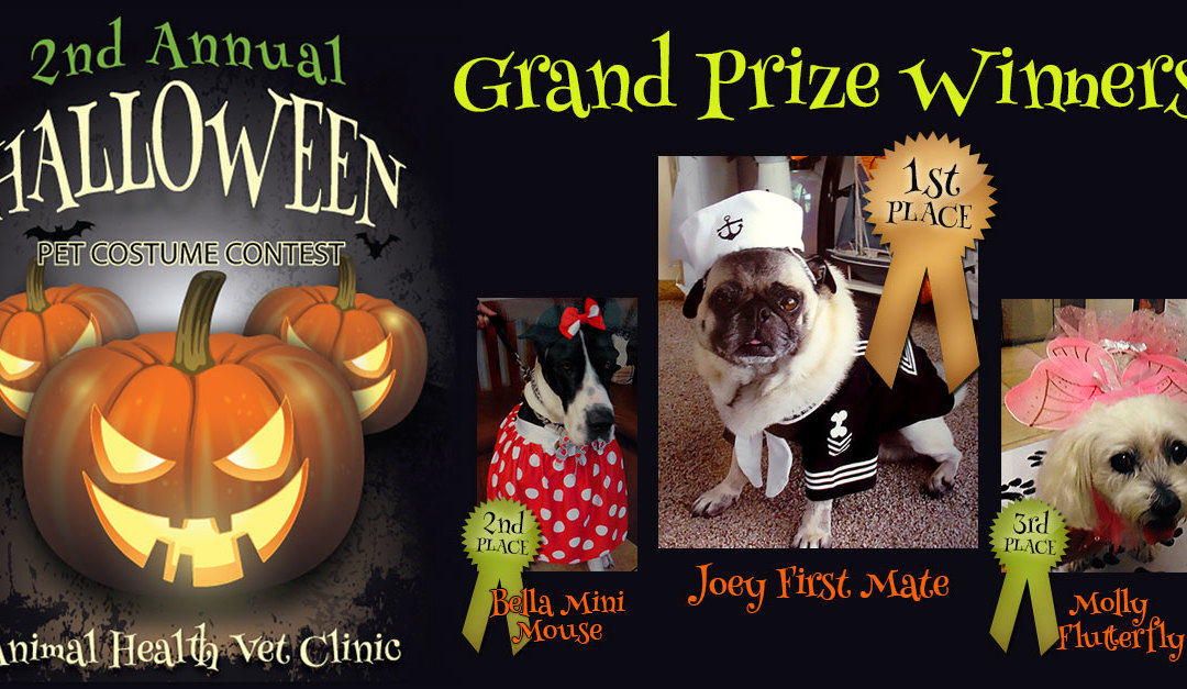 Grand Prize Winners - Joey, Bella and Mollie