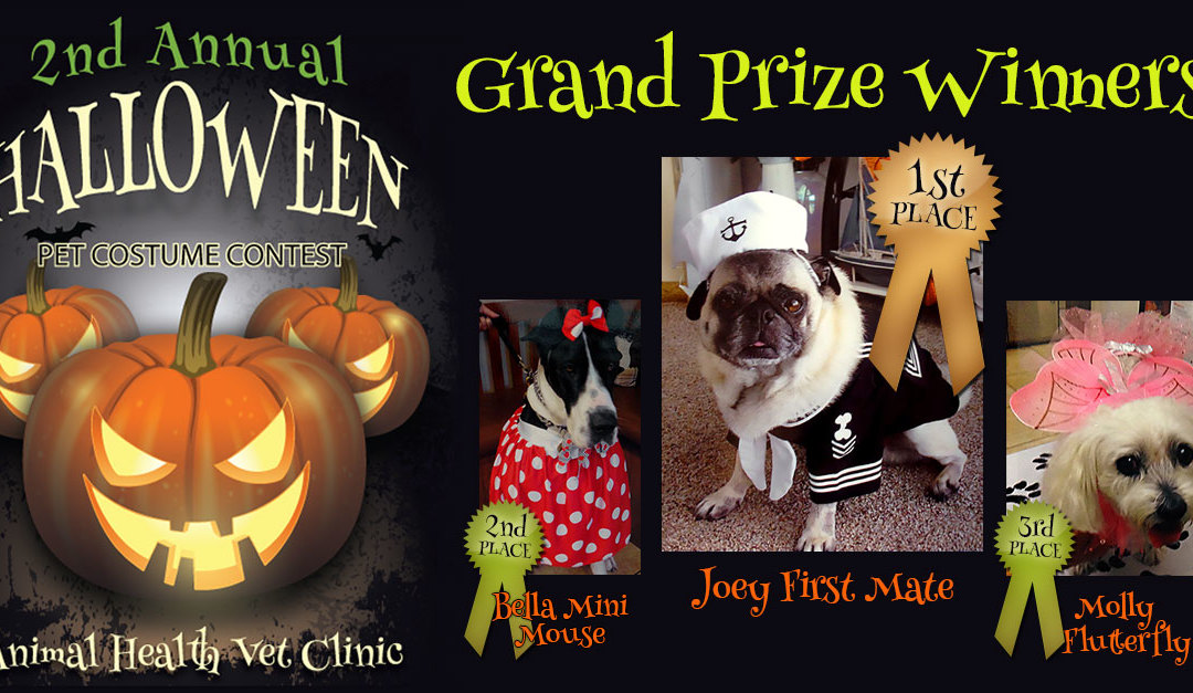 Pet Costume Contest 2014