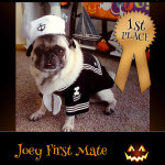 1st Place Winner Joey First Mate - Pet Costume Contest Entry