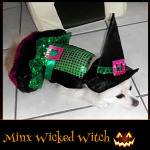 Minx Wicked Witch - Pet Costume Contest Entry