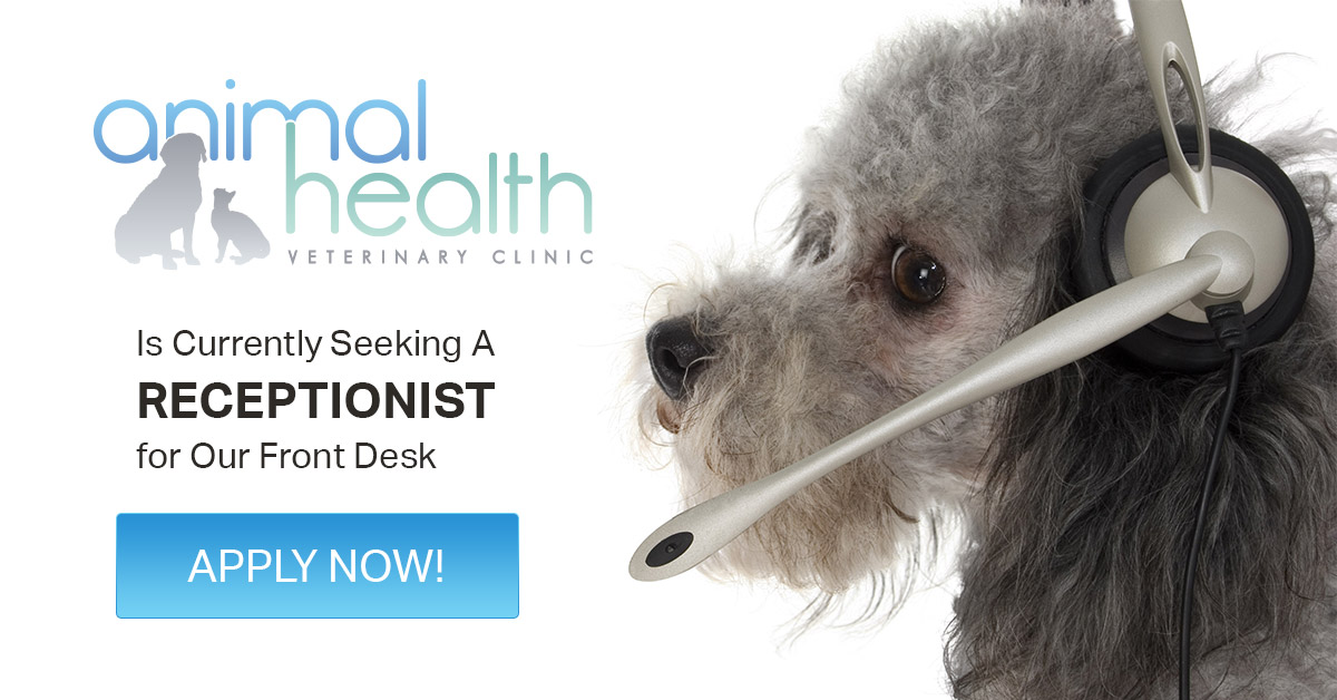 Now Hiring Experienced Receptionist Animal Health Veterinary Clinic