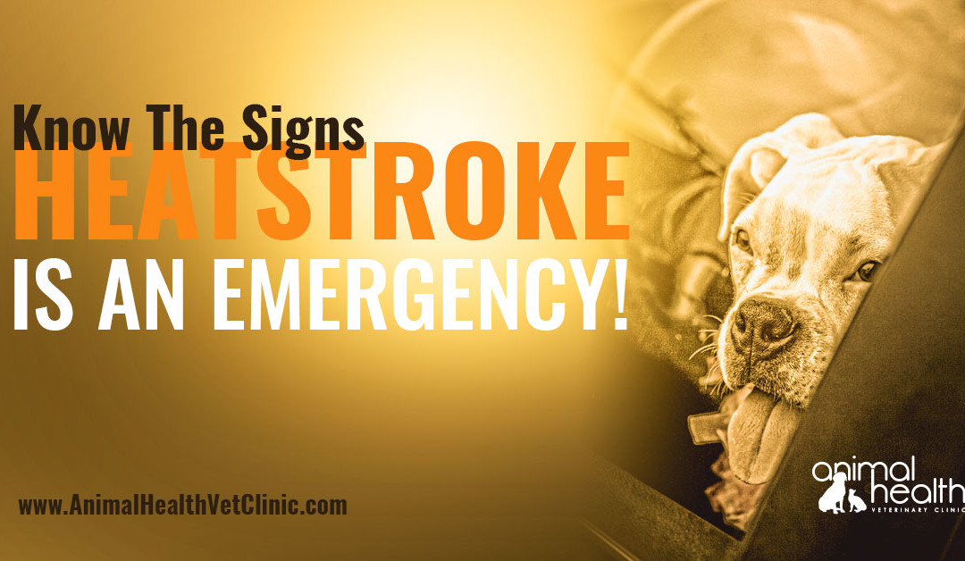 Know the Signs Heat Stroke is an Emergency