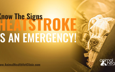 HEAT STROKE IS AN EMERGENCY!