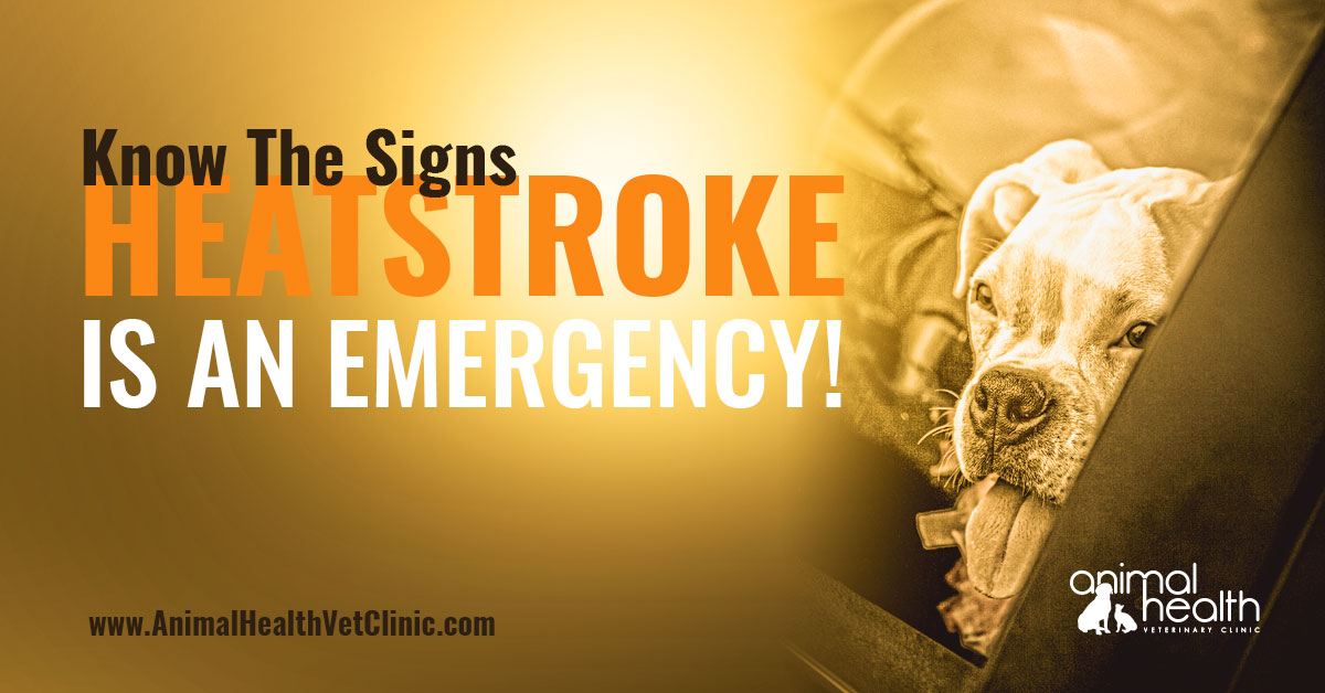 Know the Signs Heat Stroke is an Emergency