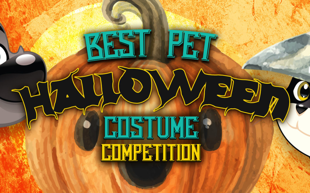 Best Pet Halloween Costume Competition