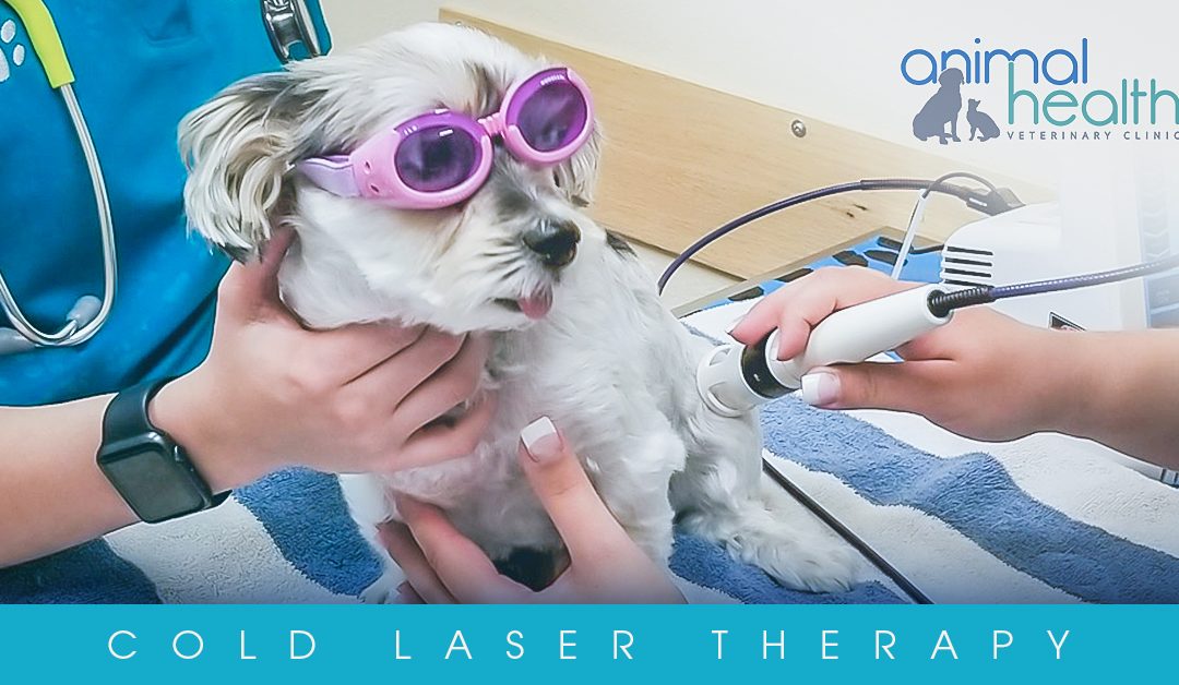 Have You Heard of Cold Laser Therapy?