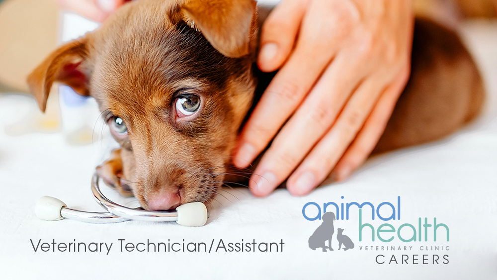 Full-Time Experienced Veterinary Technician/Assistant Position Available -  Animal Health Veterinary Clinic
