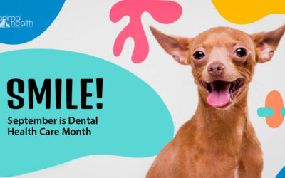 September is Dental Health Month at AHVC!