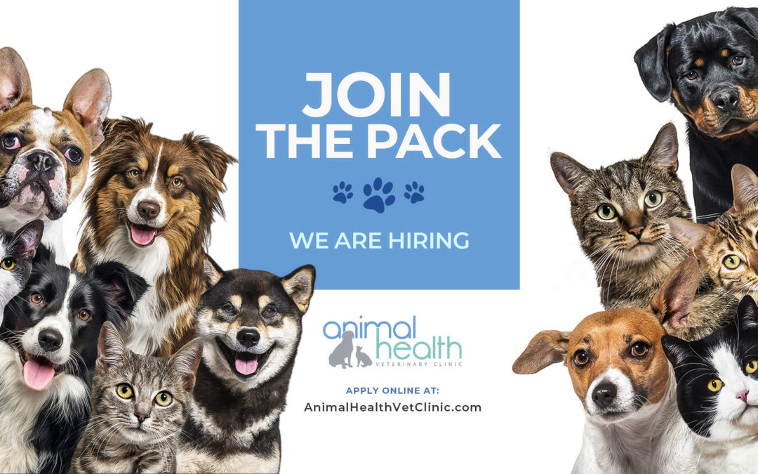 Veterinary Receptionist – Now Hiring