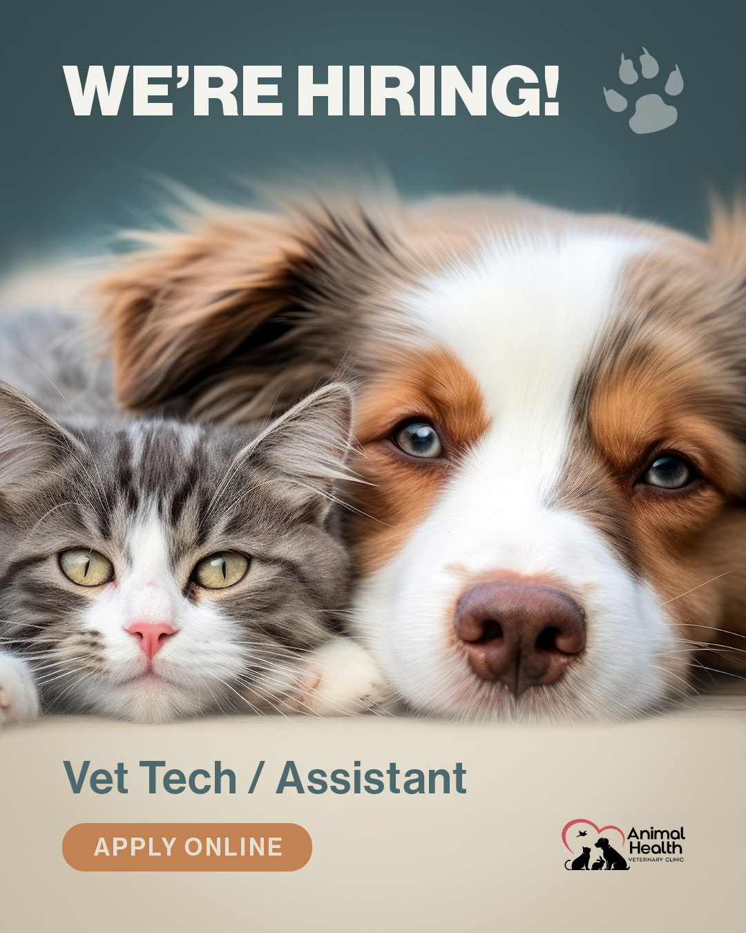 Animal Health Vet Clinic is Hiring a Vet Tech / Assitant